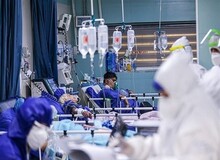 افزایش آمار مبتلایان به کرونا در بوشهر/  ابتلای ۷۹ مورد جدید