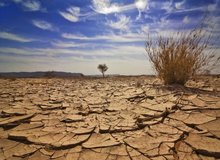 مهاجرت ۳۳ میلیون نفر در دنیا به دلیل تغییرات اقلیمی/ایران در شاخص عملکرد و سیاستگذاری رتبه ۶۳ را در میان ۶۳ کشور کسب کرده است.