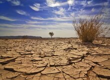 مهاجرت ۳۳ میلیون نفر در دنیا به دلیل تغییرات اقلیمی/ایران در شاخص عملکرد و سیاستگذاری رتبه ۶۳ را در میان ۶۳ کشور کسب کرده است.