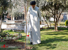 ابراهیم رئیسی یک اصله نهال کاشت
