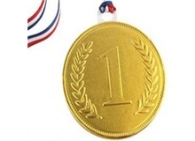 کسب 4 مدال طلا توسط رزمی کاران چهارمحال و بختیاری