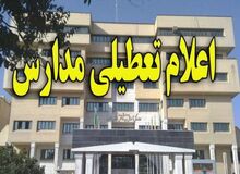 مسعود ثقفی، سخنگوی اموزش و پرورش شهر تهران خبر داد:همه مدارس شهر تهران تا آخر هفته تعطیل است