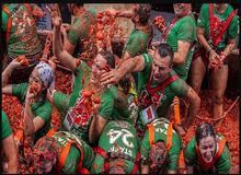 بزرگترین «جنگ گوجه‌فرنگی» جهان؛ توماتینا ۲۰۲۴+تصاویر