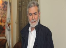 ورود هیات جنبش جهاد اسلامی به مصر برای مذاکرات آتش‌بس