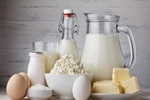 کمبود لبنیات در رژیم غذایی و افزایش خطر پوکی استخوان و کوتاهی قد