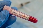 شیوع ابولا در کنگو ادامه دارد/ شمار قربانیان از ۵۰۰ نفر گذشت