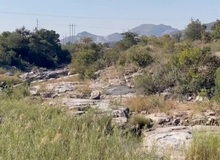 کشف عجیب دانشمندان: حضور میکروب‌های زنده در سنگ دو میلیارد ساله‌ 