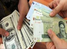 واردات ارز به ایران قاچاق نیست 