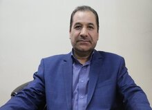 
احمدلو: جنایات علیه مسلمانان میانمار، مصداق بارز نسل‌کشی است