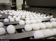  درخواست افزایش ۱۰ هزار تومانی قیمت تخم مرغ از دولت
