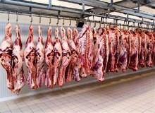جریمه میلیاردی برای گرانفروشی گوشت در تهران