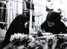 یک روایت از لحظه شهادت مصطفی چمران در جبهه دهلاویه 