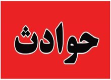 درگذشت همسر معاون رئیس‌جمهور طی سانحه رانندگی