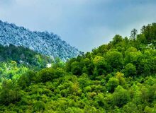 ۱۰۰ هکتار از جنگل‌های هیرکانی به مالکیت منابع طبیعی بازگشت