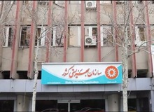 بهزیستی تبریز «مددکار خانم» ندارد