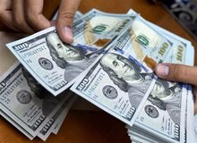 قیمت دلار، یورو و انواع ارزها امروز ۸ مهر ۱۴۰۵/ دلار ۲۵۴ هزار تومان شد + جدول