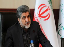 تایید نتیجه نهایی انتخابات شوراهای شهرتهران/ گزارشی ازتب کریمه کنگو در استان تهران داده نشده است