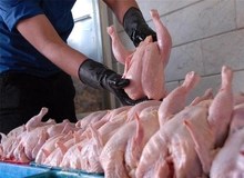 قیمت امروز مرغ گرم 10600 تومان اعلام شد
