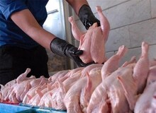 قیمت امروز مرغ گرم 10600 تومان اعلام شد
