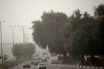 هشدار نسبت به وزش باد شدید در تهران/ پیش‌بینی افزایش دما