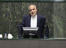 زارعی: مجلس باید در خصوص حذف ارز ترجیحی تصمیم بگیرد