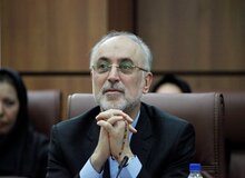 تکذیب بازداشت یک جاسوس در منزل رییس سازمان انرژی اتمی

