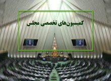هشت وزیر دولت در کمیسیون های تخصصی مجلس حضور می یابند