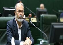 نماینده مجلس: چینی‌ها برای لاستیک‌های کهنه عاج درست می‌کنند