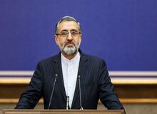 سخنگوی قوه قضاییه: کسانی که در انتشار فایل صوتی ظریف نقش داشتند ممنوع الخروج شده اند / قریب به ۲۰ نفر احضار شده اند