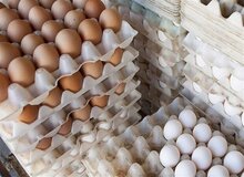 تاثیر غیرمنتظره مصرف تخم‌مرغ بر بدن/ مصرف چند عدد تخم‌مرغ در هفته بی‌خطر است؟