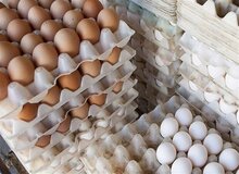 تاثیر غیرمنتظره مصرف تخم‌مرغ بر بدن/ مصرف چند عدد تخم‌مرغ در هفته بی‌خطر است؟
