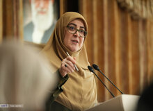 مهاجرانی: تهران از هر اقدامی که به خروج اشغال گران از فلسطین بینجامد حمایت می کند