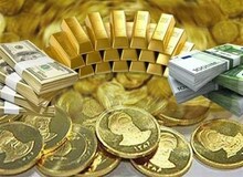 پیش فروش قطعی انواع مسکوکات طلا به زودی آغاز می شود
