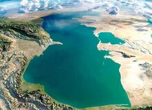 هشدار پژوهشگران درباره شکوفایی جلبکی در دریای خزر / افت شدید اکسیژن و تهدید حیات کف‌زیان