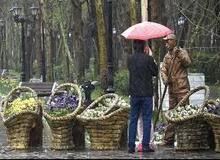 باران 9 استان را در برمی‌گیرد/ تهران خنک‌تر می‌شود