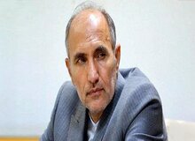 عضو کمیسیون اجتماعی: اجرای طرح صیانت بر عهده دولت است