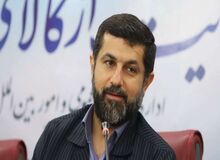 روایت استاندار خوزستان از ناآرامی‌های ماهشهر/ امکان تردد پرسنل پتروشیمی را نیز سلب کرده بودند
