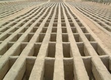 با افزایش مرگ و میر ناشی از ویروس کرونا، مافیای قبر هم پیدا شد
