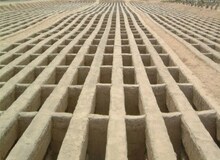 با افزایش مرگ و میر ناشی از ویروس کرونا، مافیای قبر هم پیدا شد
