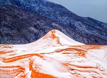تصاویری جالب از برف در کویر الجزیره پس از ۳۷ سال!