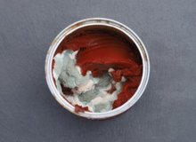 نکاتی درباره کپک آبغوره، رب گوچه فرنگ وترشی/ کدام کپک ها خطرناک هستند؟