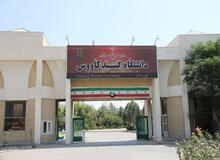 حمایتهایی که عدالت را زیر می گیرند!