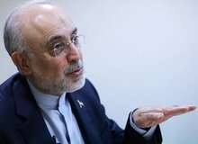 رضا نصری: علی‌اکبر صالحی شایسته‌ترین گزینه نه برای مدیریت یک سفارتخانه، بلکه برای عهده‌دار شدن سمت پیشنهادی «نماینده ویژه ایران در جهان عرب» است