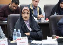 عضو شورای شهر کرمان: آمریکا و اسرائیل در آسمان کرمان گازهای سمی پخش کردند!