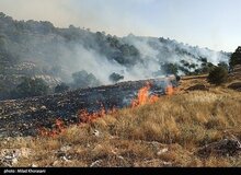 وقوع ۲۴۰ مورد آتش‌سوزی در جنگلها و مراتع کشور در ۷۴ روز گذشته