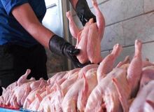 کاهش 900 تومانی قیمت مرغ در بازار
