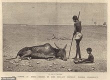 هشدار درباره تکرار خشک‌سالی و قحطی قرن ۱۹ با ۵۰ میلیون مرگ‌ومیر