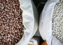 قیمت جدید لوبیاچیتی در بازار