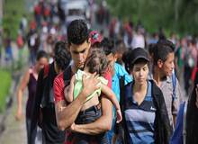کدام کشورها مقاصد اصلی ایرانیان برای درخواست پناهندگی‌اند؟/ عراق هم به مقصد پناهندگی ایرانیان تبدیل شد
