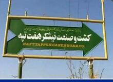 مقام مسئول در وزارت کار: «تجمع کارگران هفت تپه در فصل برداشت به صلاح نیست»
